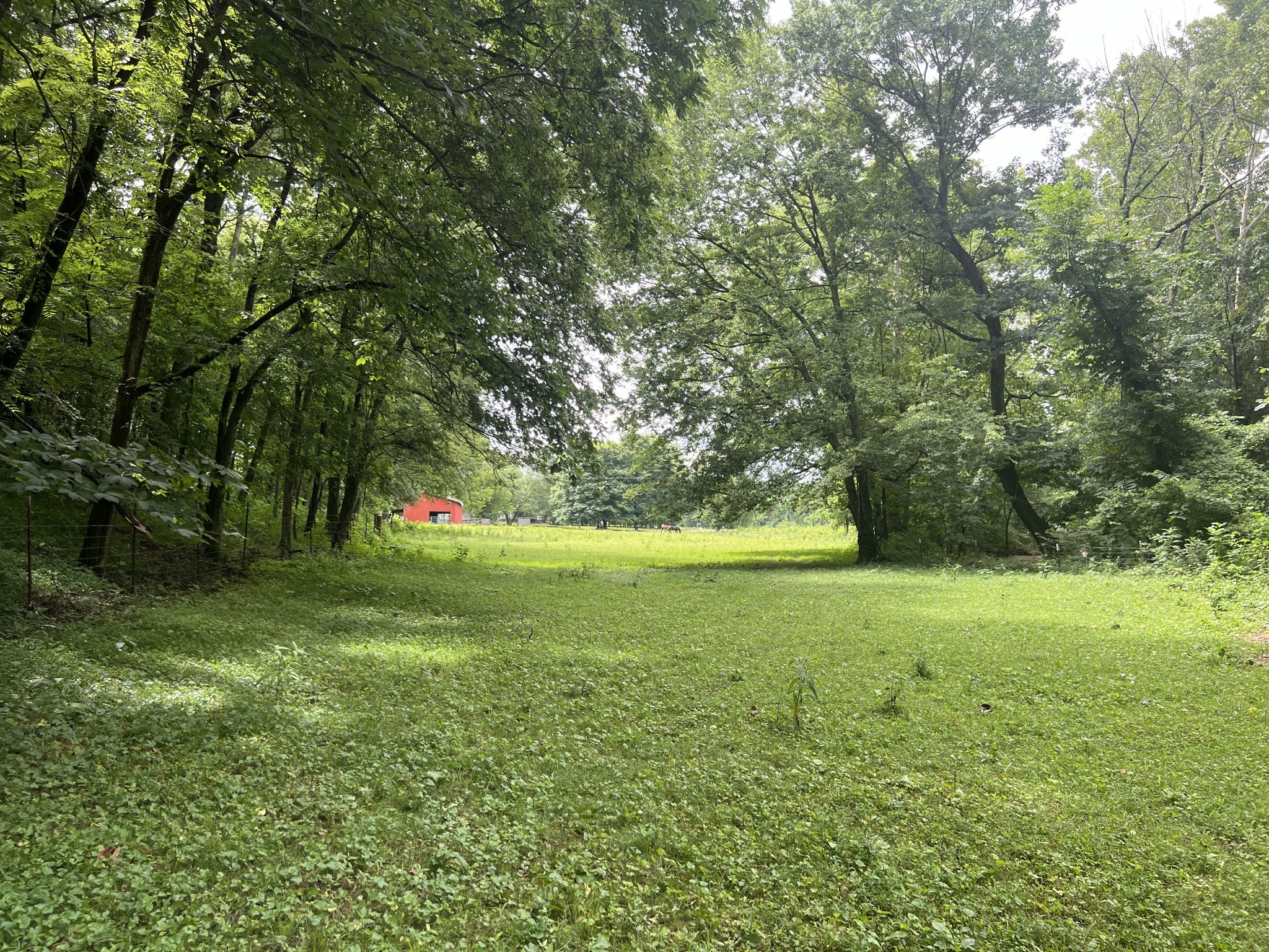 1135 N Sumner Road Bethpage TN 37022