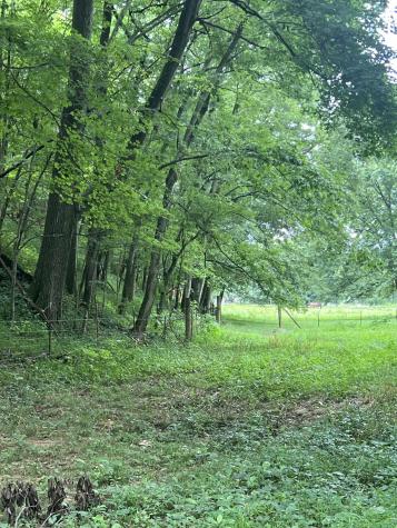 1135 N Sumner Road Bethpage TN 37022