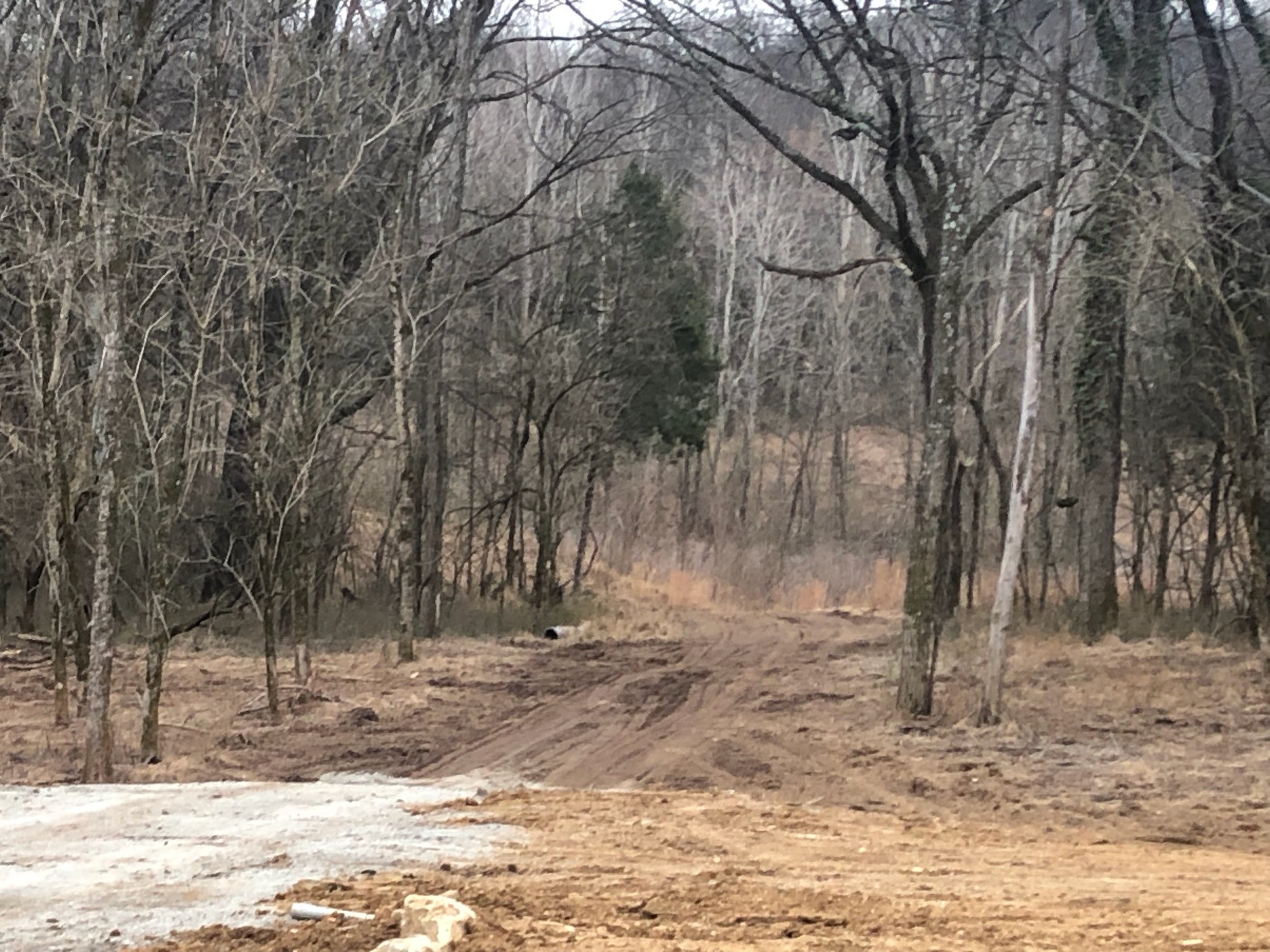 0 Murphy Lane Columbia TN 38401