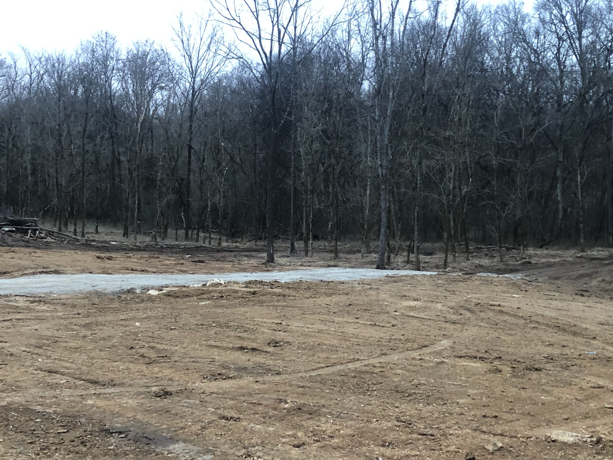0 Murphy Lane Columbia TN 38401