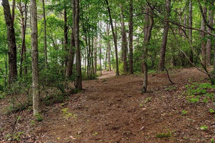 110 Falls Lane Spencer TN 38585