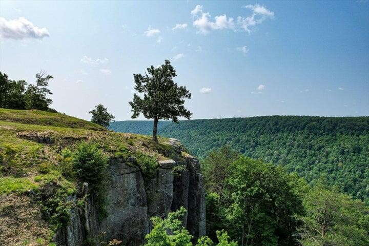 110 Falls Lane Spencer TN 38585