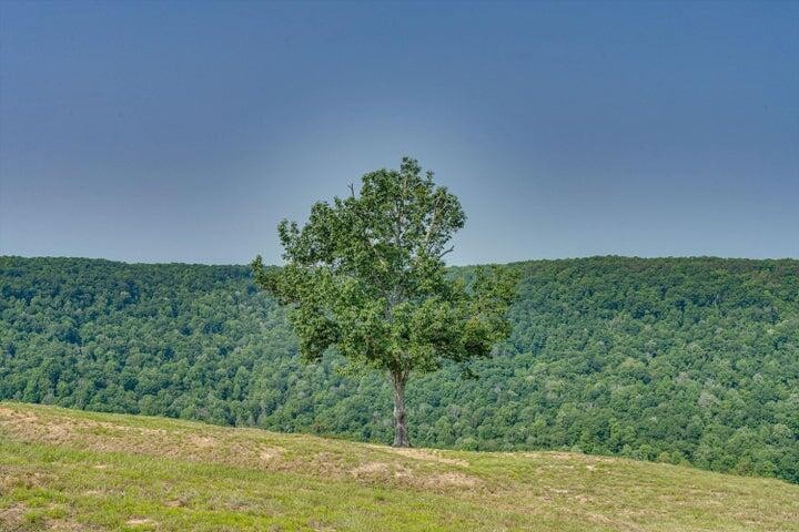 110 Falls Lane Spencer TN 38585