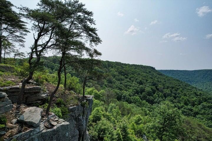 110 Falls Lane Spencer TN 38585