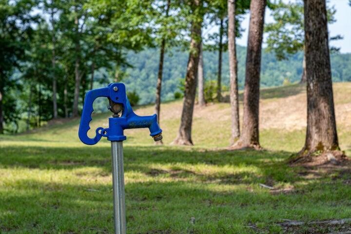 110 Falls Lane Spencer TN 38585