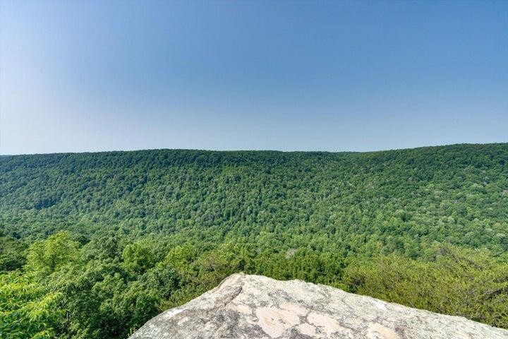 110 Falls Lane Spencer TN 38585