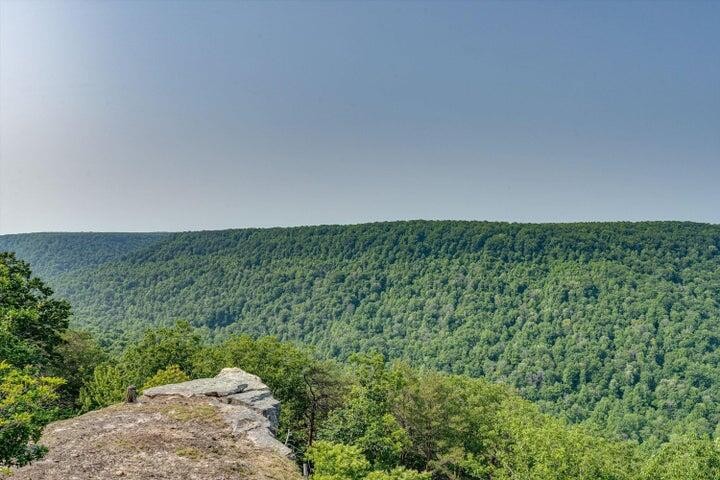 110 Falls Lane Spencer TN 38585