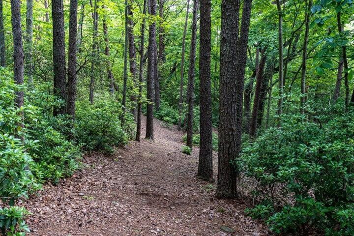 110 Falls Lane Spencer TN 38585