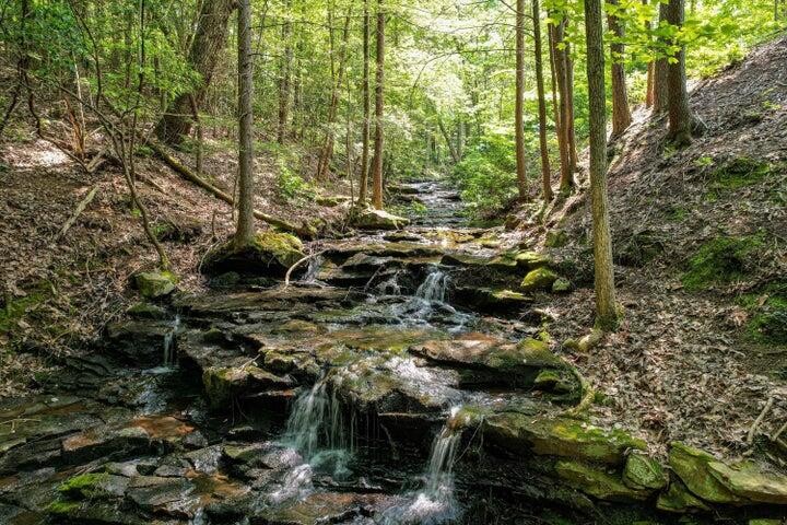 110 Falls Lane Spencer TN 38585