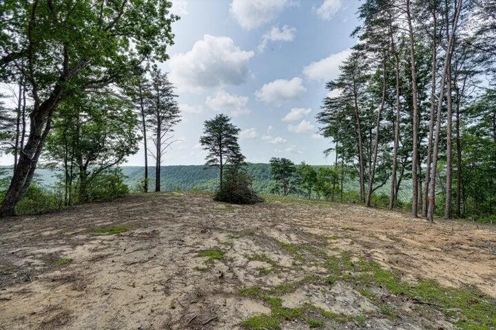 110 Falls Lane Spencer TN 38585