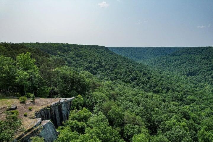 110 Falls Lane Spencer TN 38585