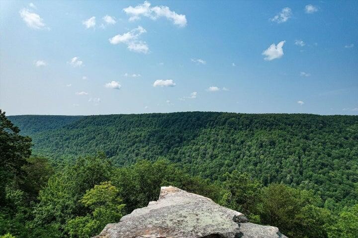 110 Falls Lane Spencer TN 38585