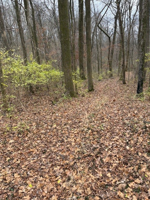 933 Old Lebanon Dirt Road Hermitage TN 37076