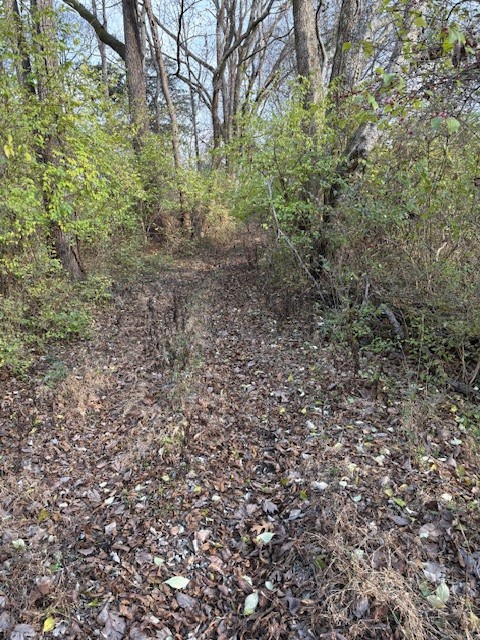 933 Old Lebanon Dirt Road Hermitage TN 37076