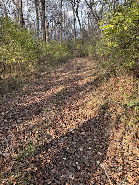 933 Old Lebanon Dirt Road Hermitage TN 37076