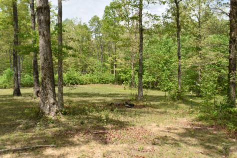 192 Morris Drive Tracy City TN 37387