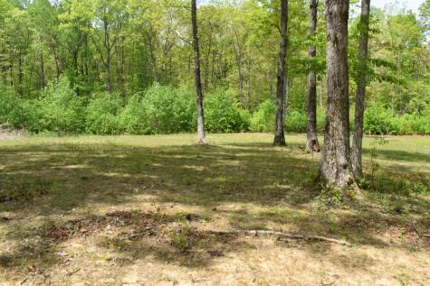192 Morris Drive Tracy City TN 37387