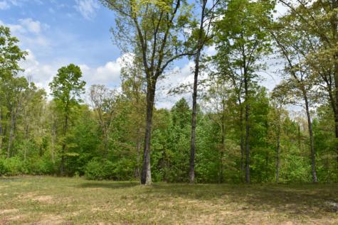 192 Morris Drive Tracy City TN 37387