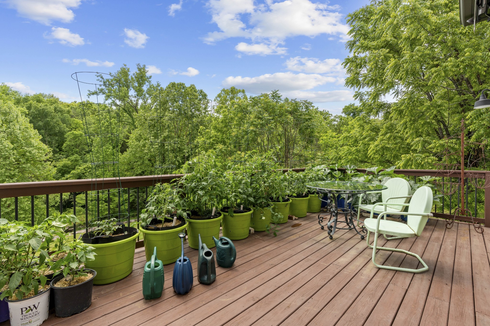 302 Cedar Hollow Court Lebanon TN 37087