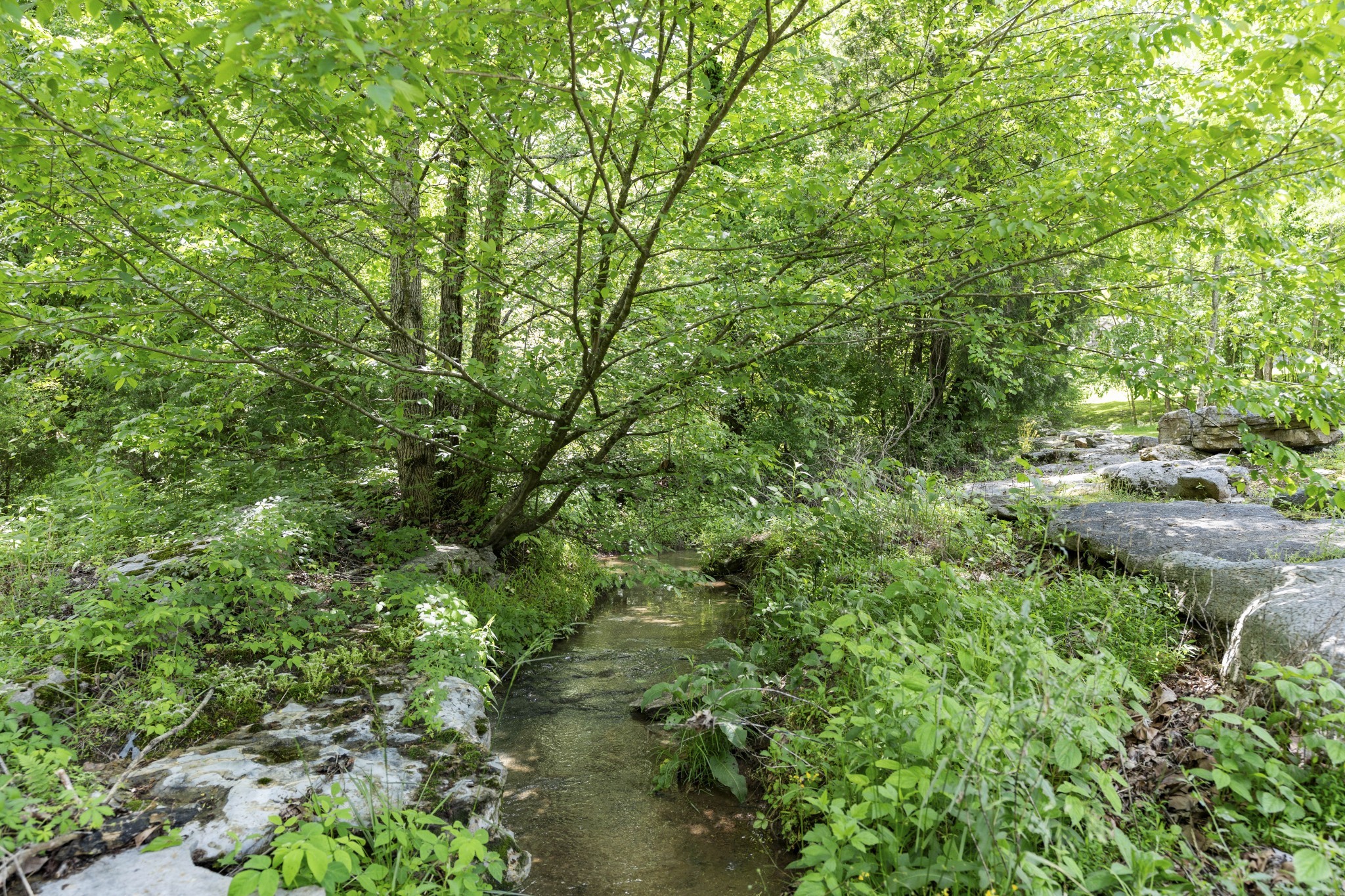 302 Cedar Hollow Court Lebanon TN 37087