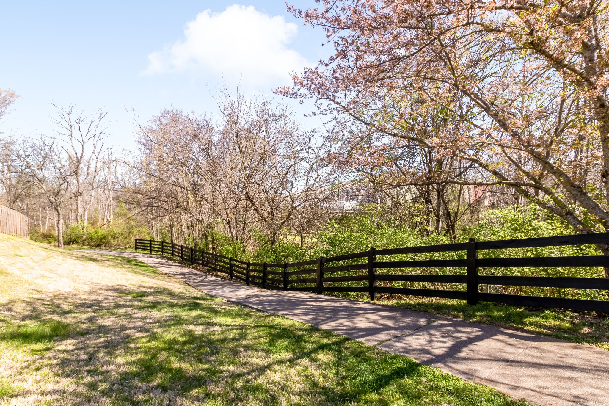 4979 Paddy Trace Spring Hill TN 37174