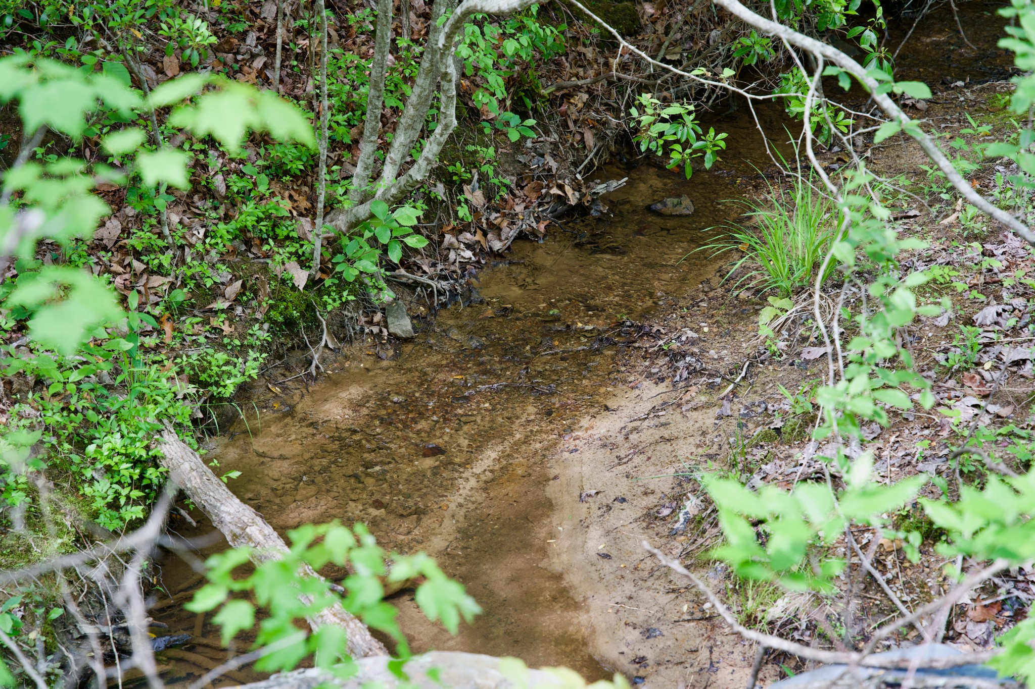 0 Creek Side Lane Spencer TN 38585
