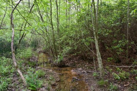 0 Creek Side Lane Spencer TN 38585