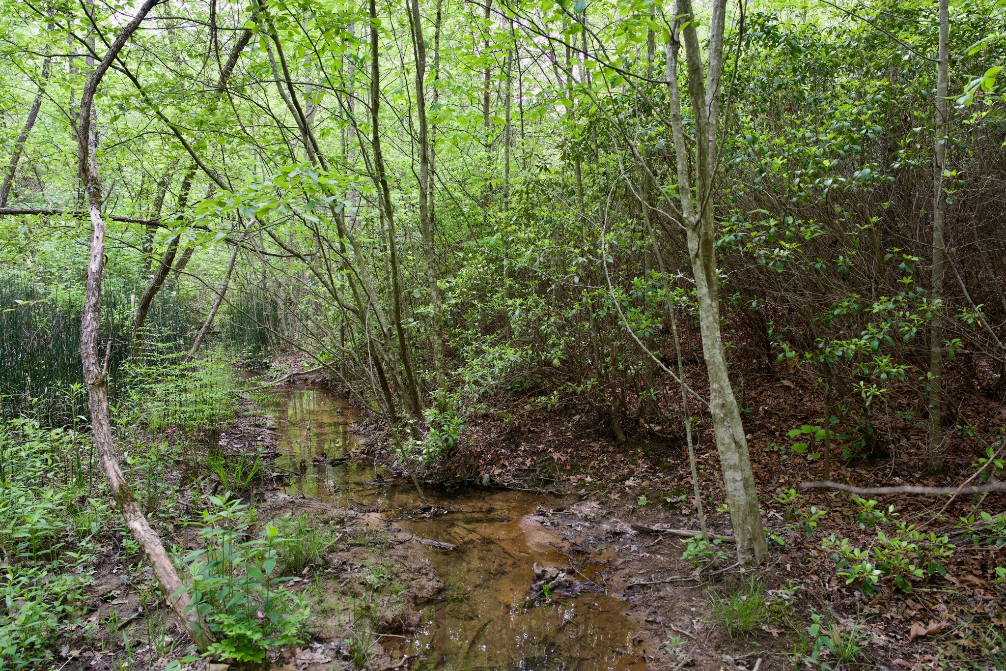 0 Creek Side Lane Spencer TN 38585