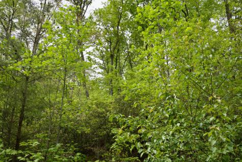 0 Creek Side Lane Spencer TN 38585