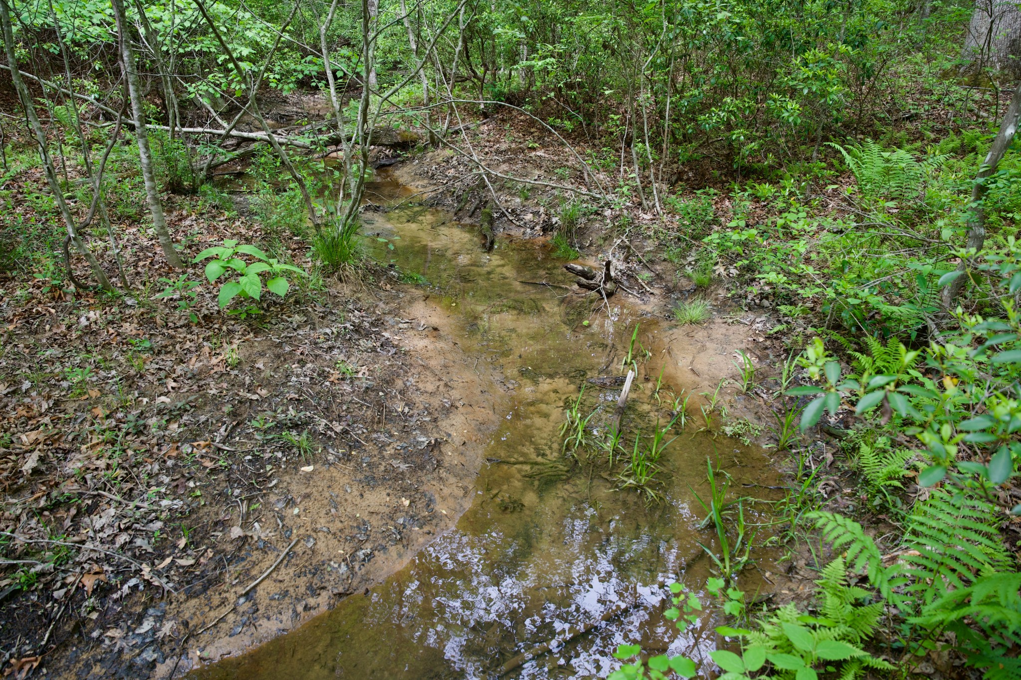 0 Creek Side Lane Spencer TN 38585
