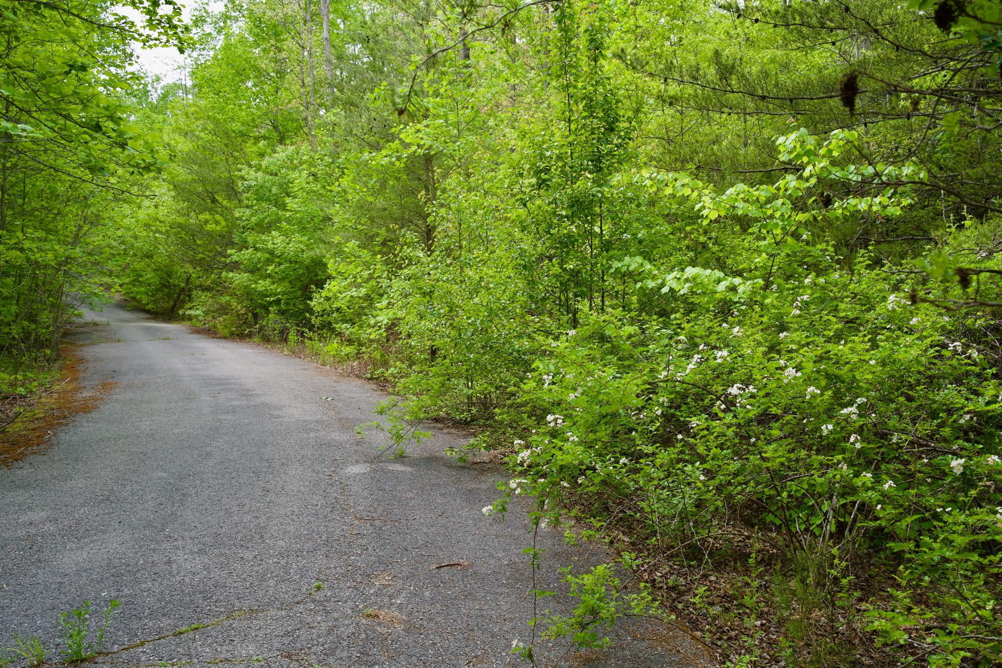 0 Creek Side Lane Spencer TN 38585