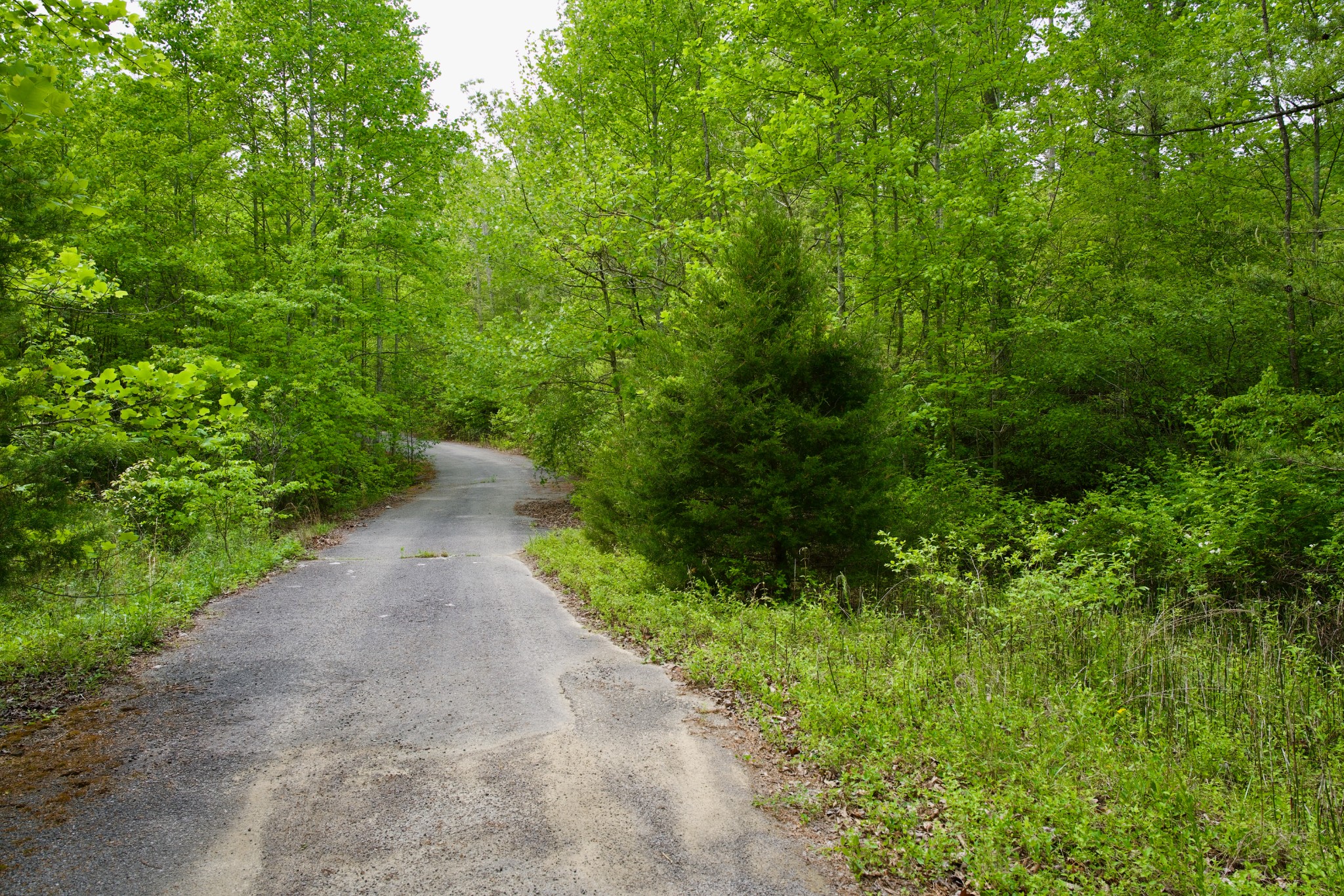 0 Creek Side Lane Spencer TN 38585