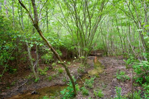 0 Creek Side Lane Spencer TN 38585