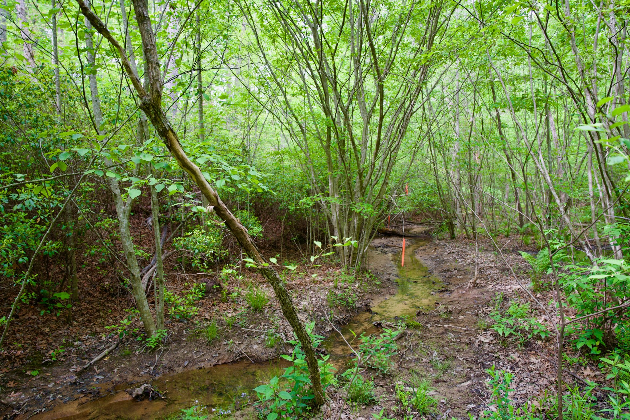 0 Creek Side Lane Spencer TN 38585