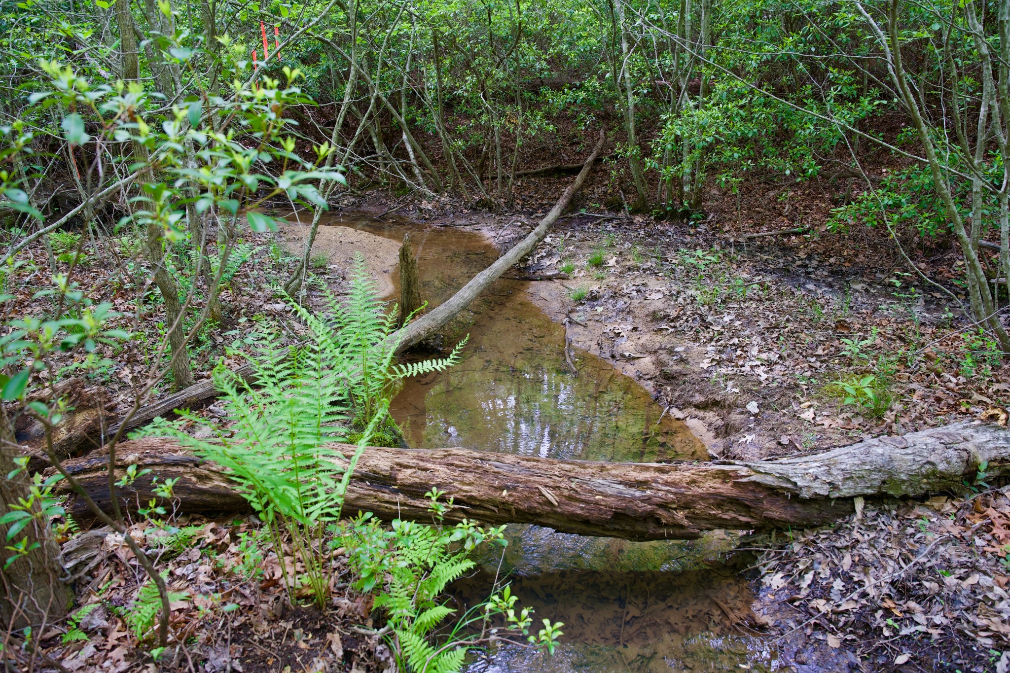 0 Creek Side Lane Spencer TN 38585
