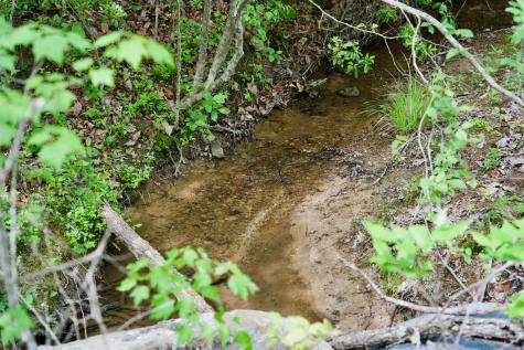 0 Creek Side Lane Spencer TN 38585