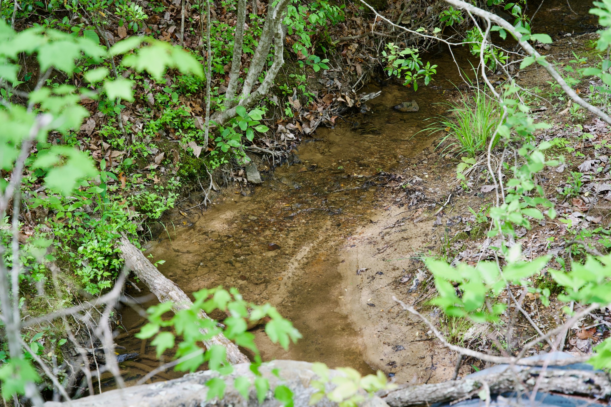 0 Creek Side Lane Spencer TN 38585