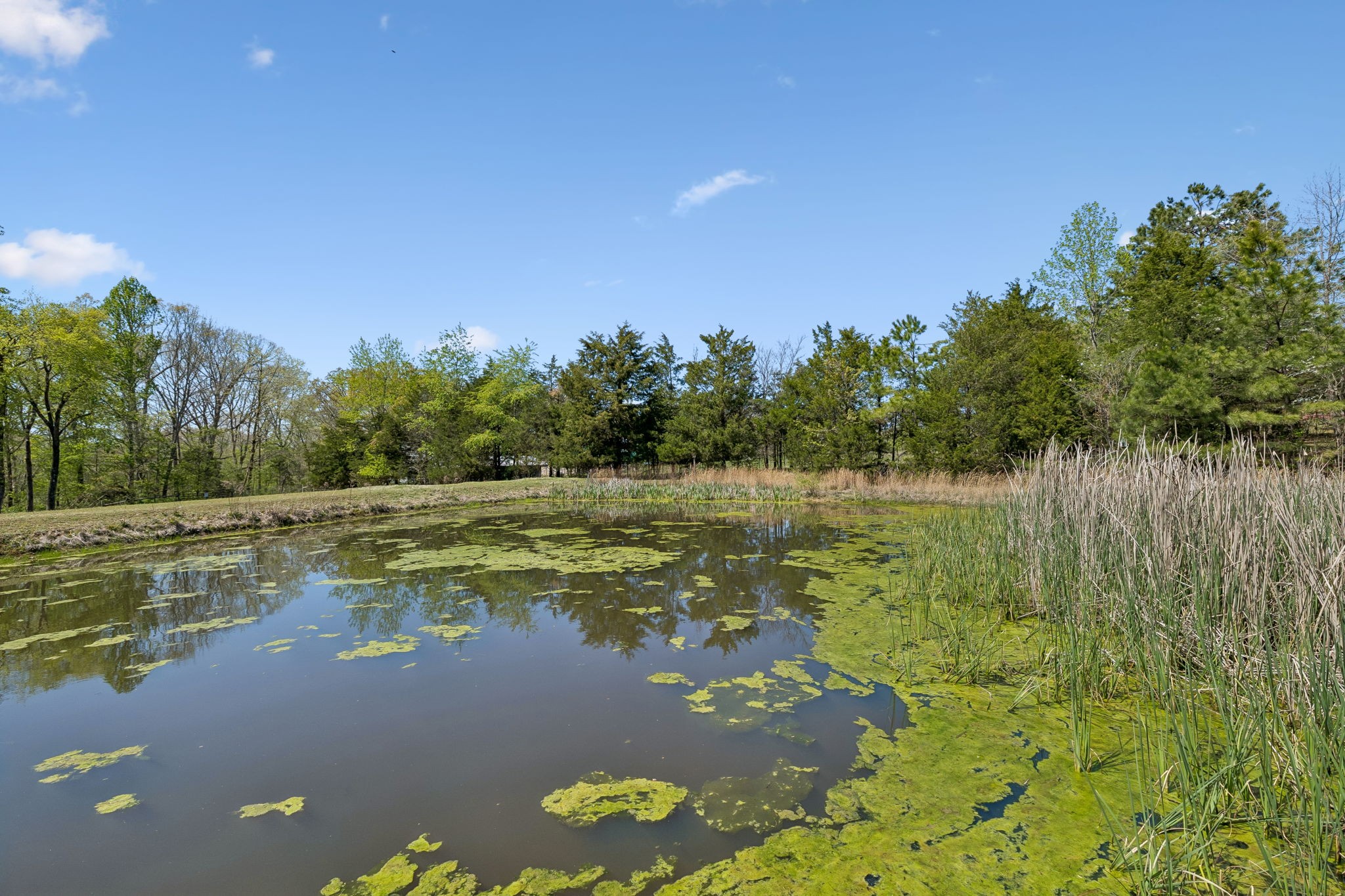 3010 Spencer Mill Road Bon Aqua TN 37025