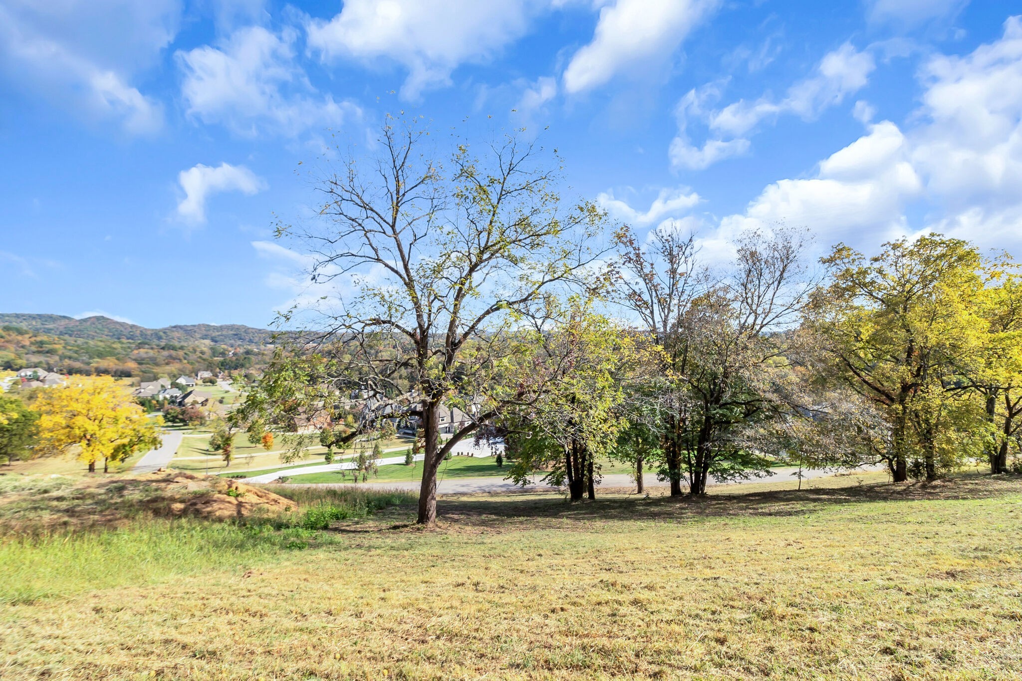 4439 Ivan Creek Drive Franklin TN 37064