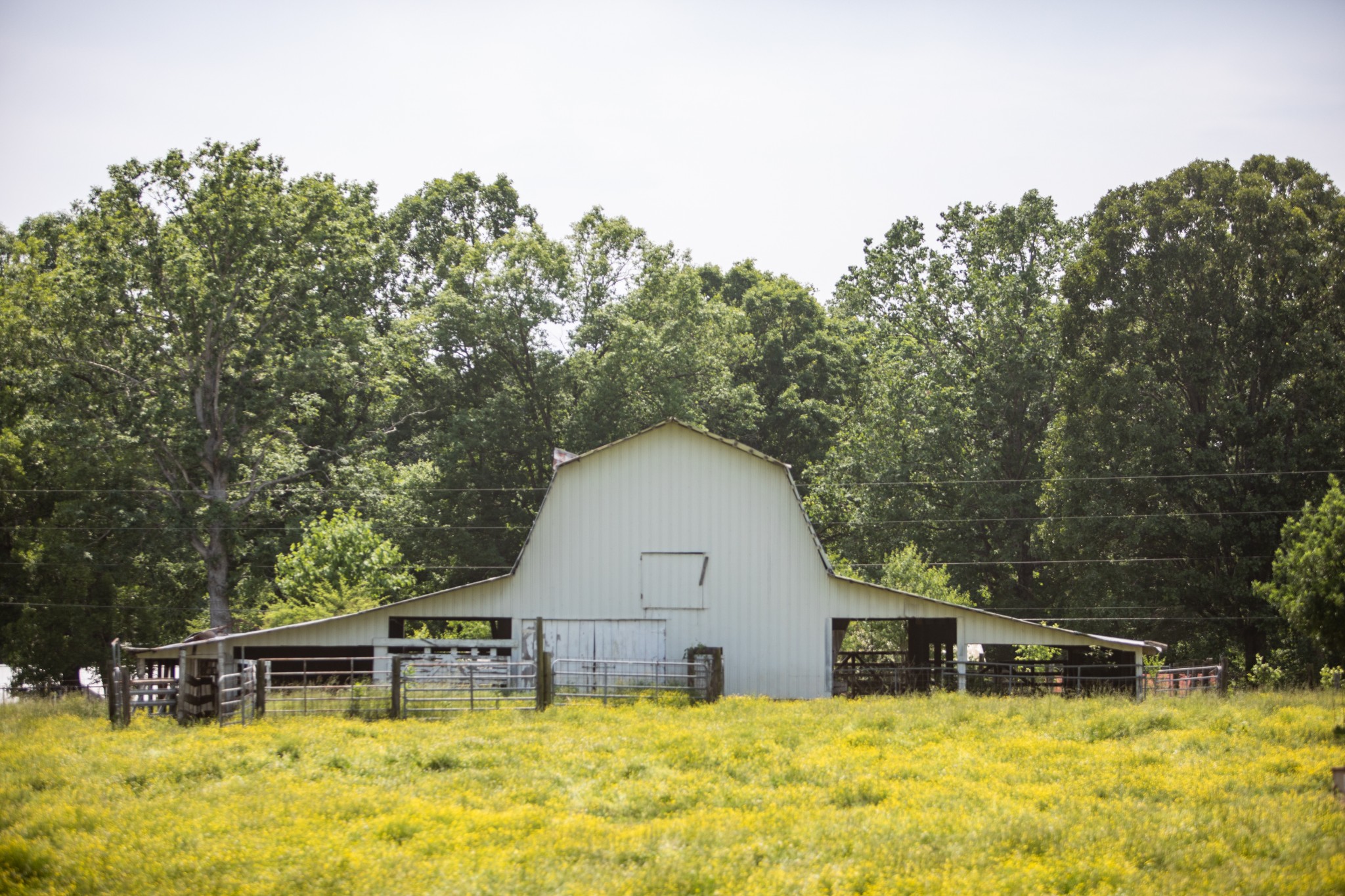 0 Lower Shipps Bend N Centerville TN 37033