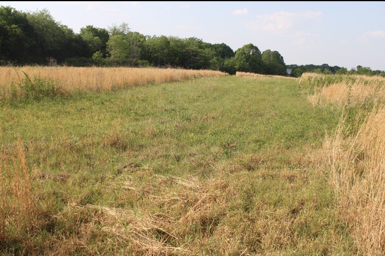 0 Midland Fosterville Road Bell Buckle TN 37020