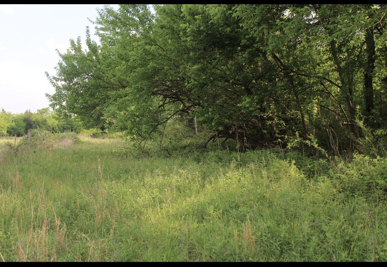 0 Midland Fosterville Road Bell Buckle TN 37020