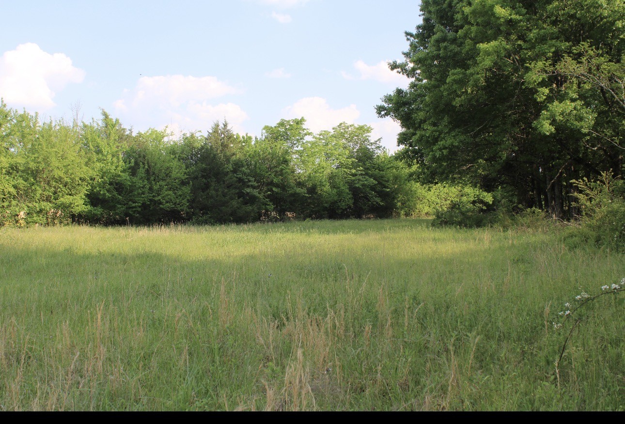 0 Midland Fosterville Road Bell Buckle TN 37020