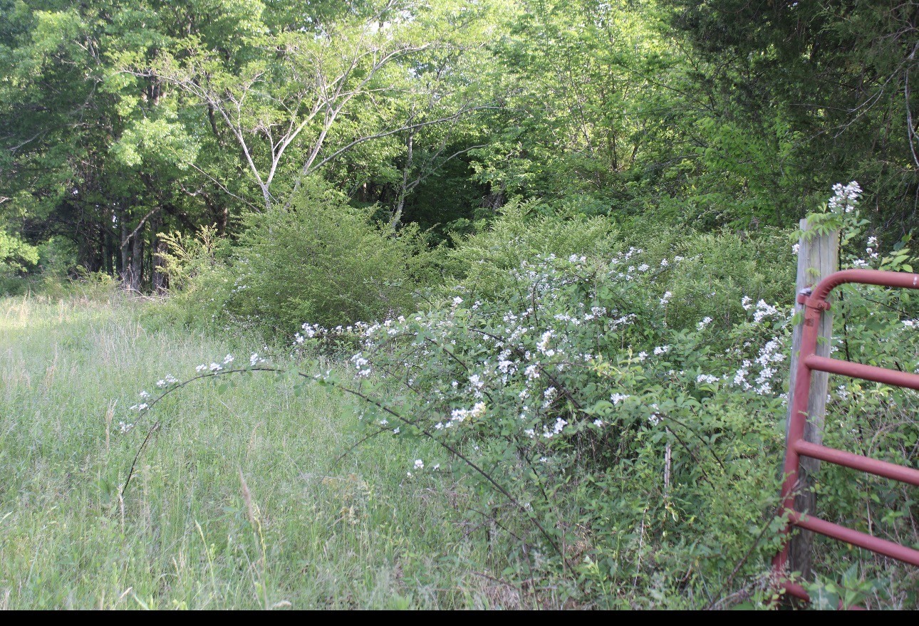 0 Midland Fosterville Road Bell Buckle TN 37020