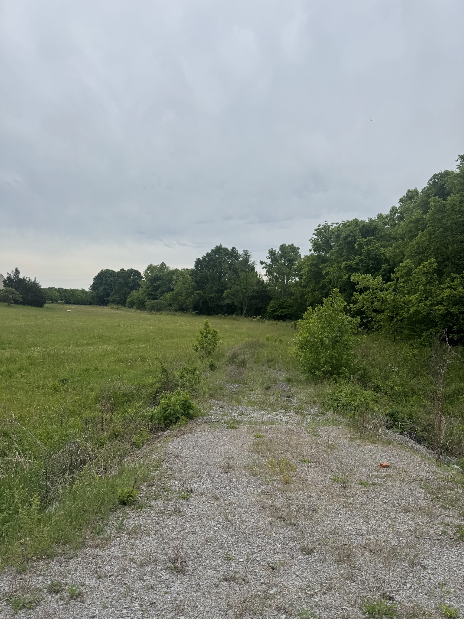 0 Midland Fosterville Road Bell Buckle TN 37020