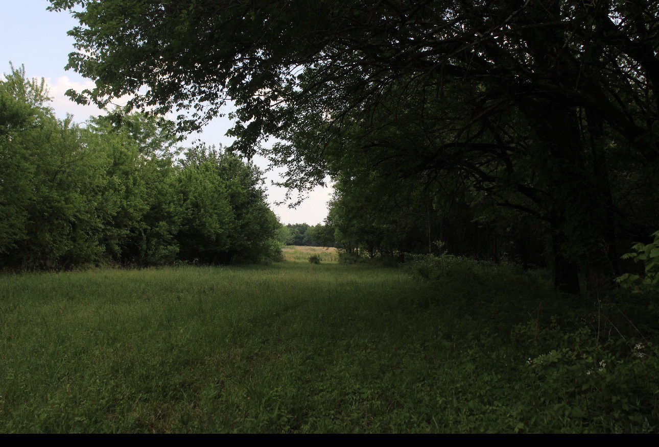 0 Midland Fosterville Road Bell Buckle TN 37020