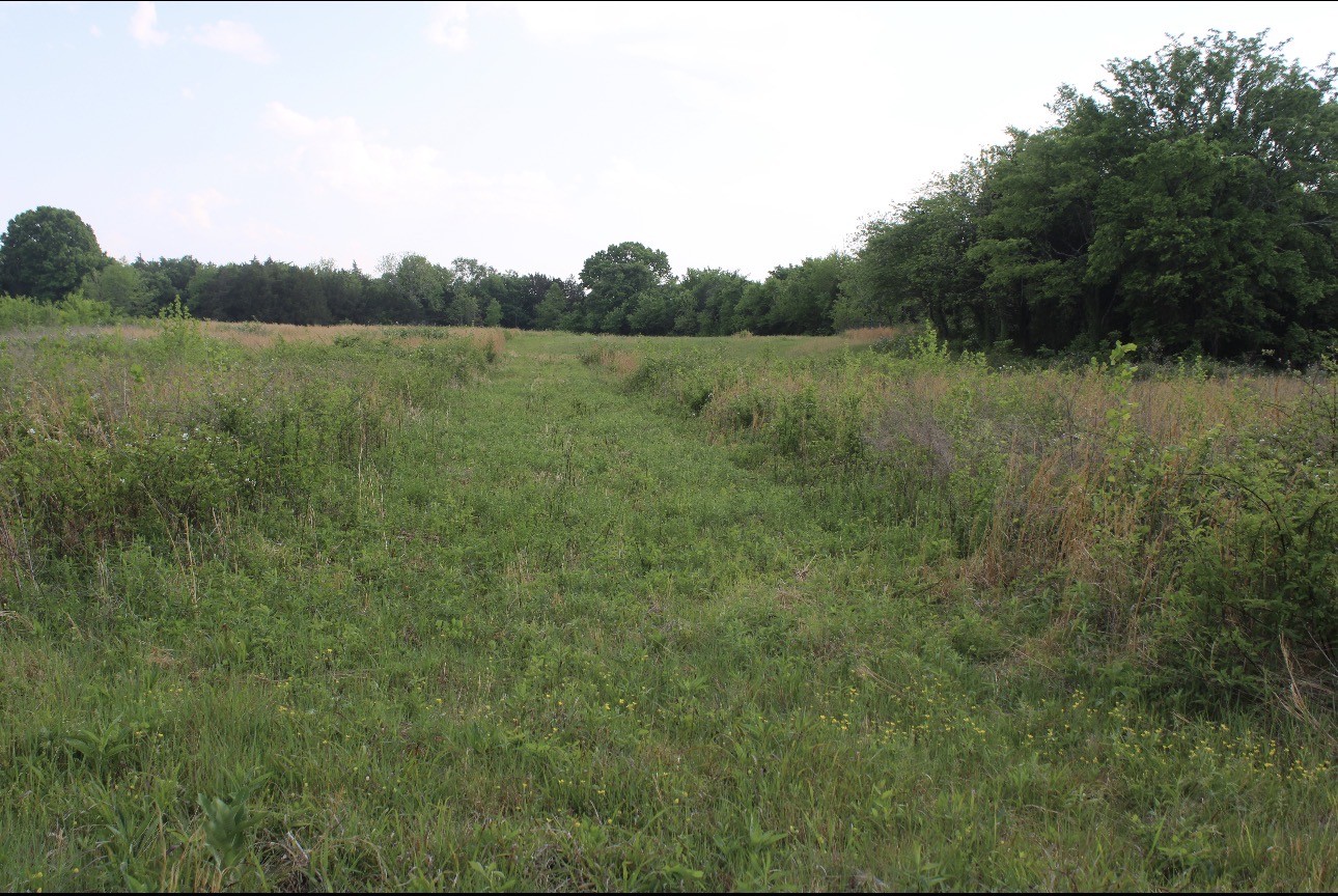 0 Midland Fosterville Road Bell Buckle TN 37020