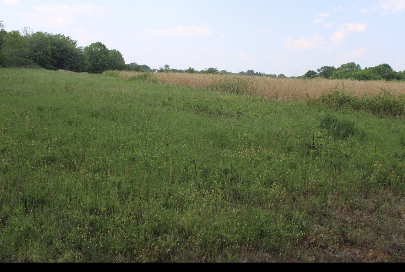 0 Midland Fosterville Road Bell Buckle TN 37020