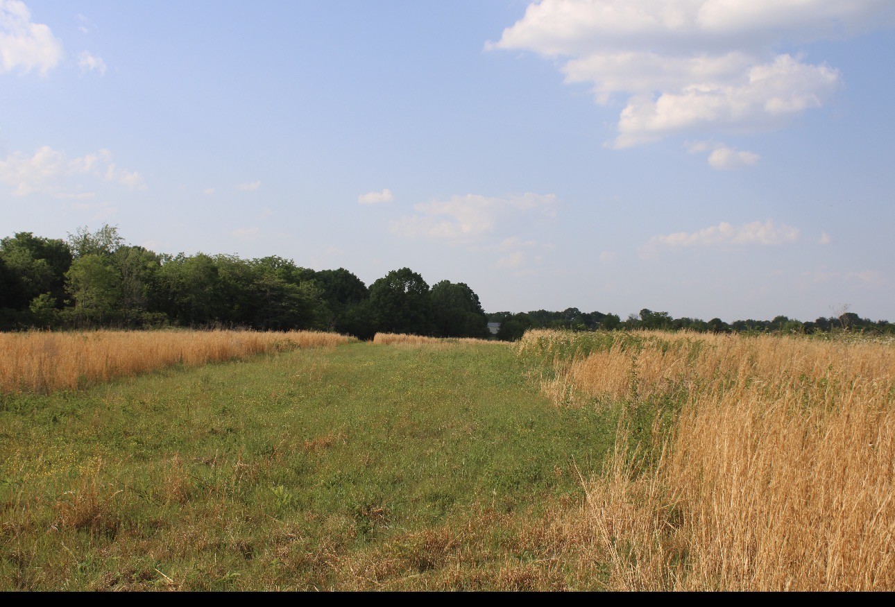 0 Midland Fosterville Road Bell Buckle TN 37020