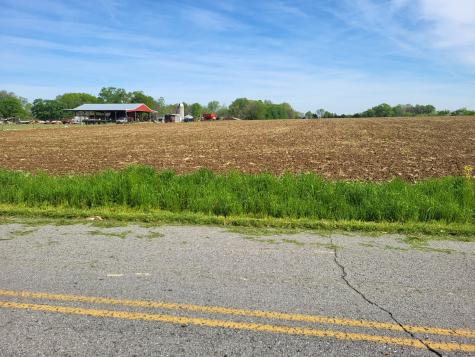 0 Jake Link Road Cottontown TN 37048